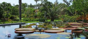 Ecofriendly Travel Destinations in Florida