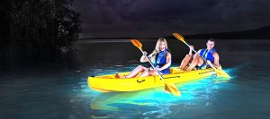 Bioluminescence Kayak Tours