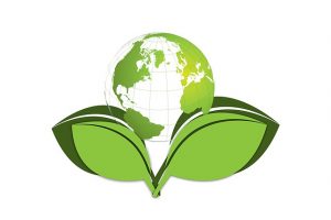 Ecofriendly Businesses in Florida