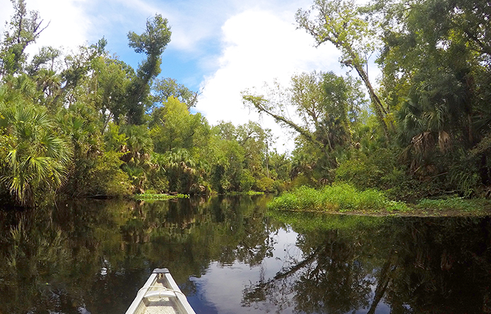 Wekiva Springs State Park near Orlando Florida