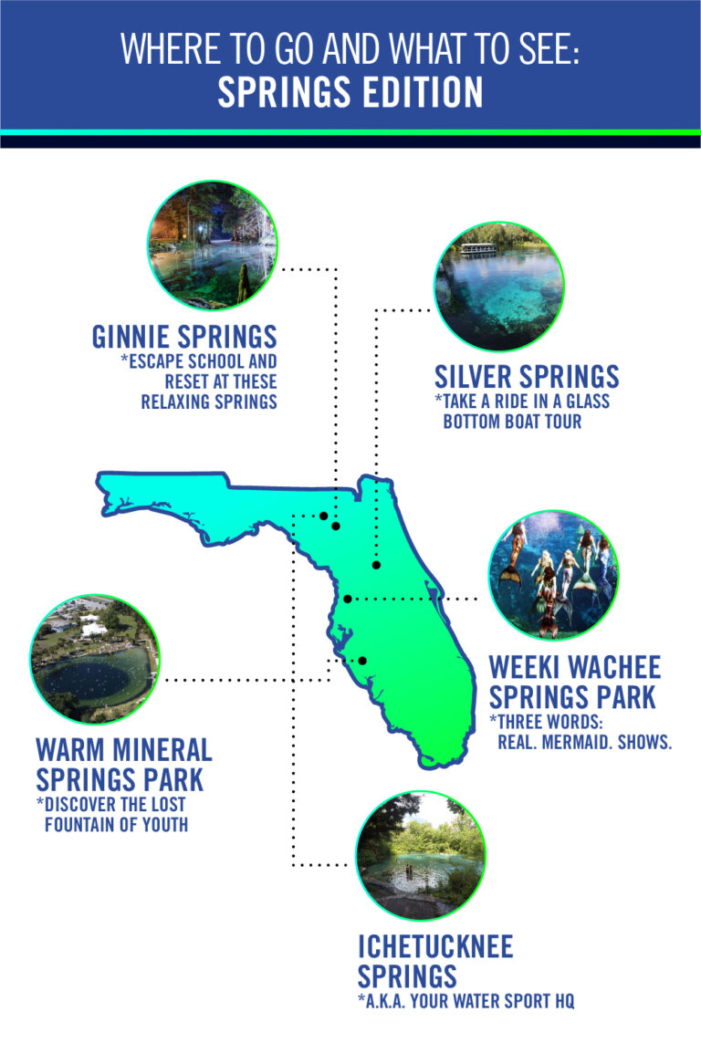 Top 5 Florida's Natural Springs & Things To Do While Visiting