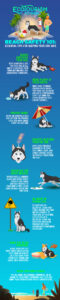 Dog Friendly Beaches 2023