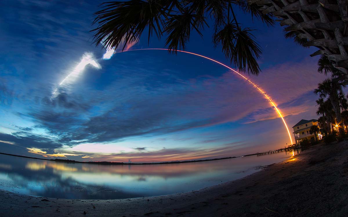 Bioluminescence in Florida