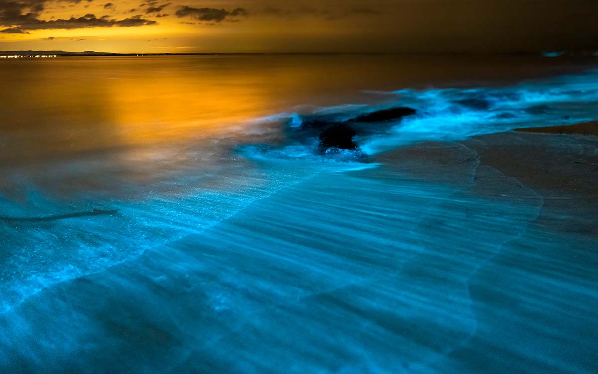 Where to See Bioluminescence in Florida: Cocoa Beach, Key West