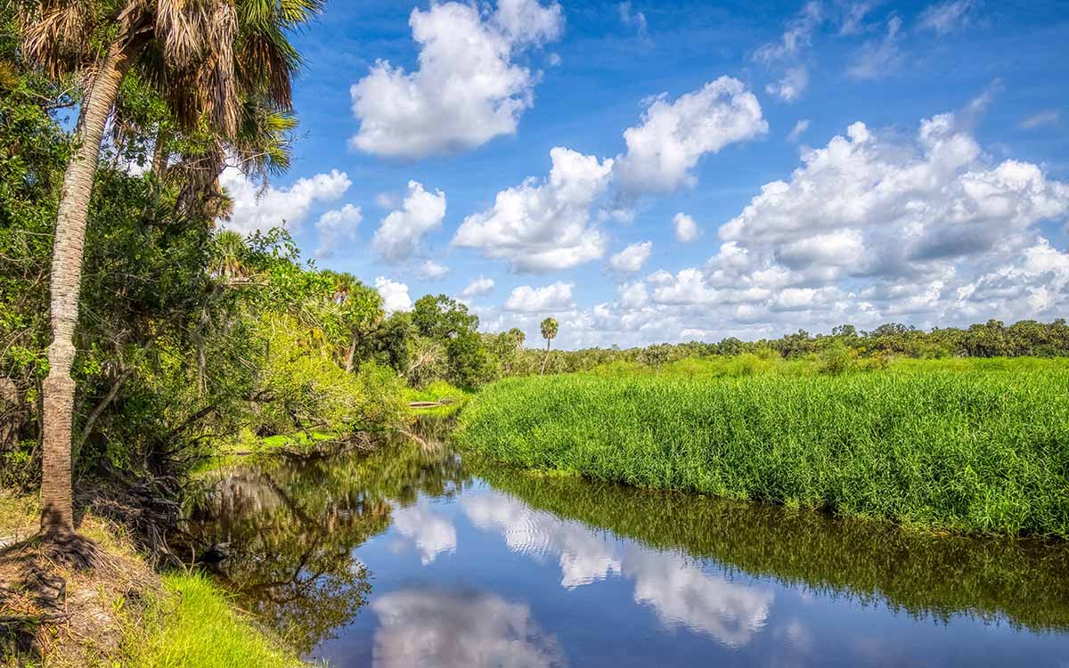 Camping in Florida Holiday Season