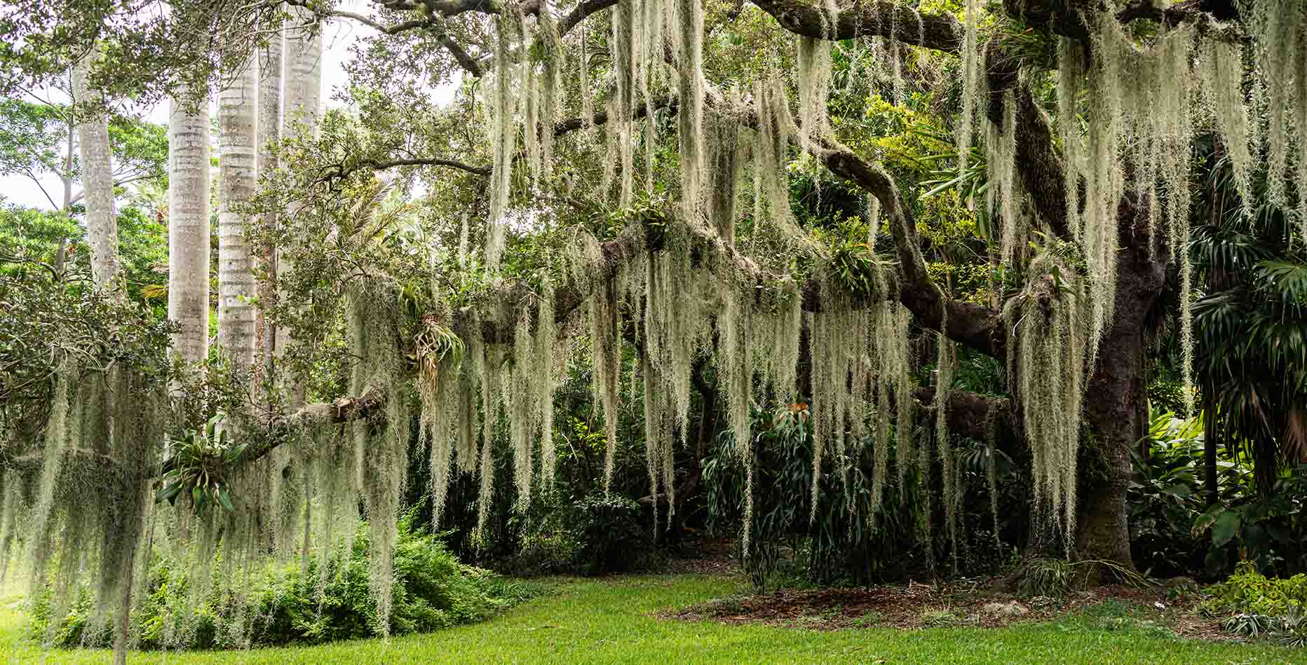 7 Best Hidden Gems in FL