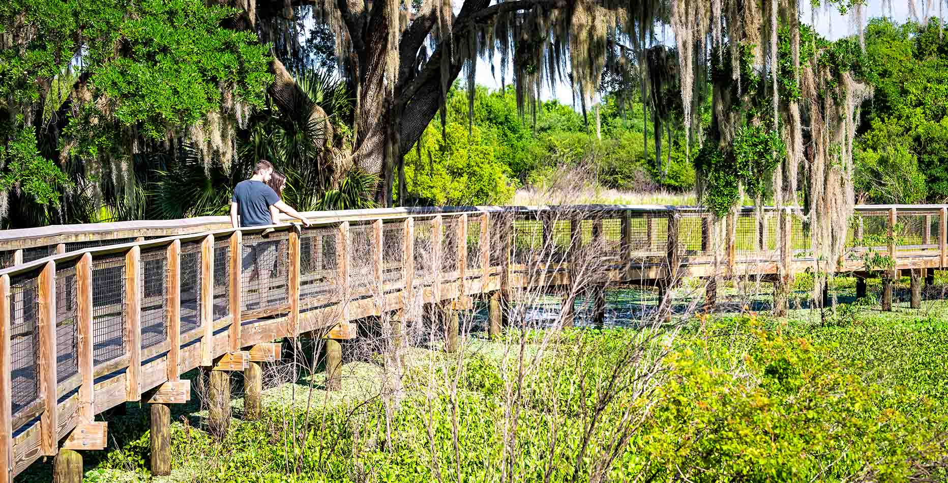 7 Best Hidden Gems in FL