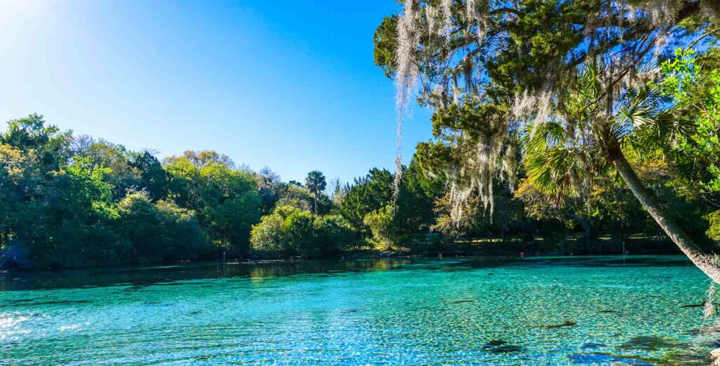 7 Best Hidden Gems in FL