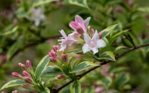Best Things to Do Florida Spring 2024