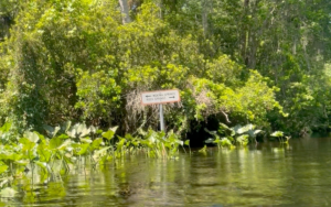 Experience Wekiva Like a Local