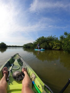 Voluntourism Opportunities Florida 2024