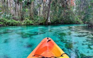 Best Summer Activities FL 2024