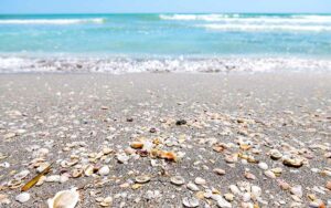 Exploring Florida's Best Beaches 2024