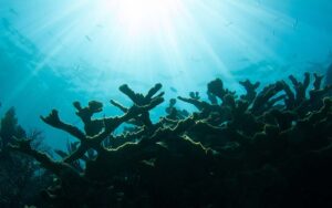 The Best Outdoor & Nature Activities Florida