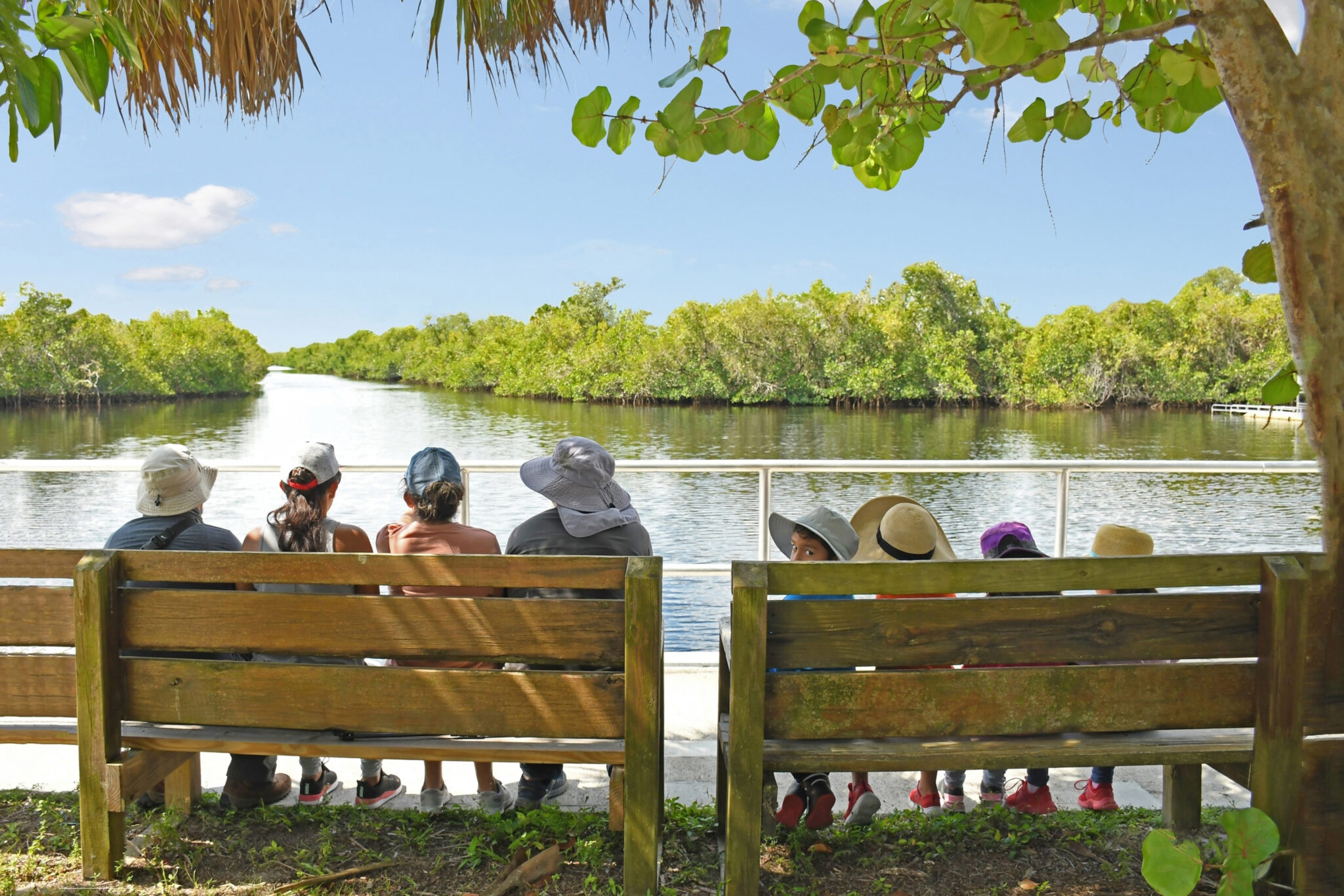 CollierSeminole State Park EcoTourism