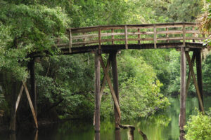 The Best Camping Spots Florida Fall