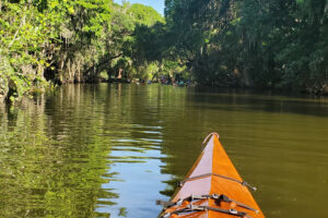Best Kayaking Spots Florida 2024