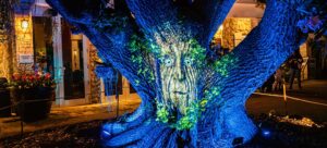 Upcoming Holiday Activities FL 2024