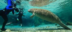 The Ultimate Travelers Guide Florida 2025