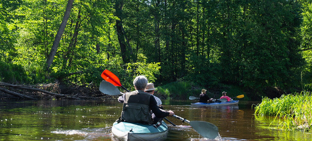 Florida eco-camping adventure. Enjoying ecotourism while kayaking.