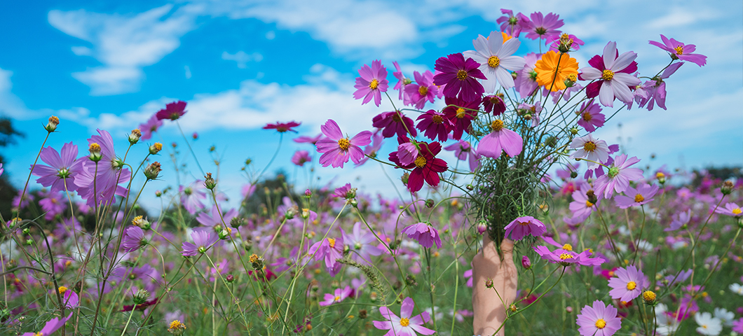 The Florida Agritourism & Farm-to-Table Dining Guide