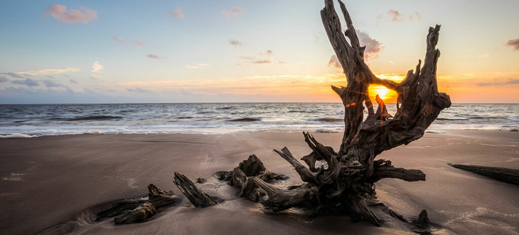 A Guide to Florida's Best Wildlife Photography Spots