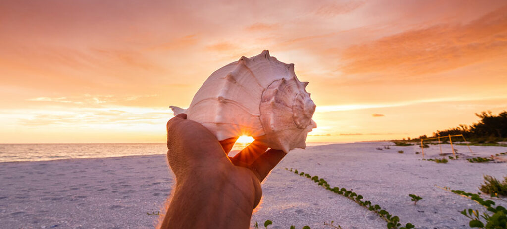 A Guide to Florida's Best Wildlife Photography Spots